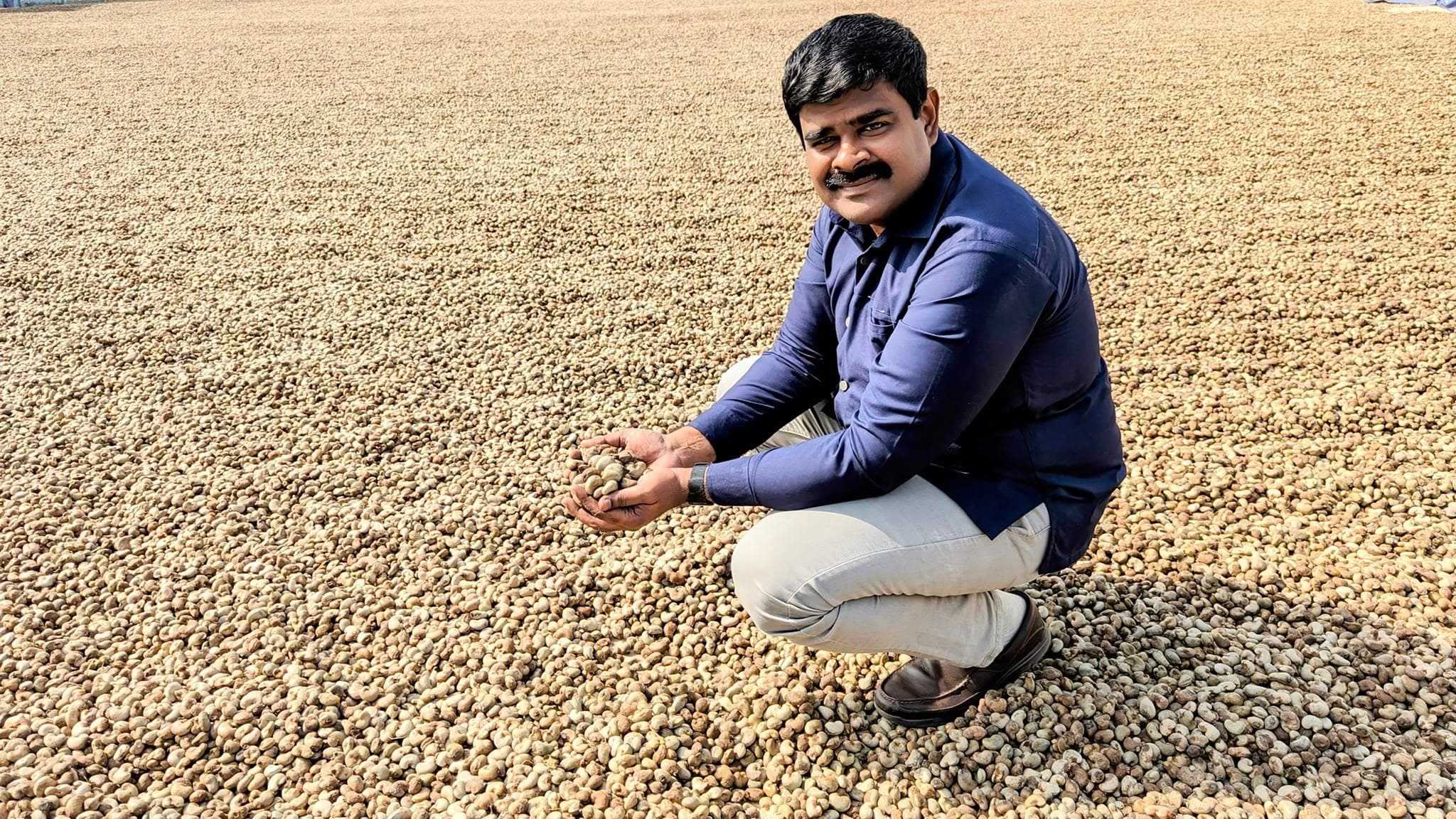 Agro-export systems and commodity trade